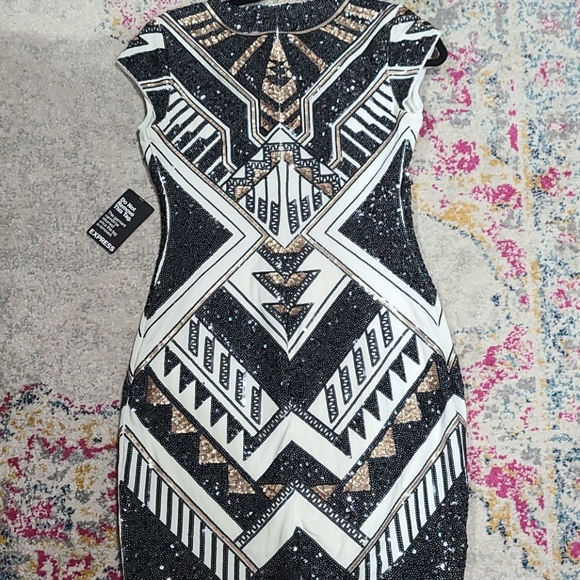 Express Dress - Picture 4 of 5